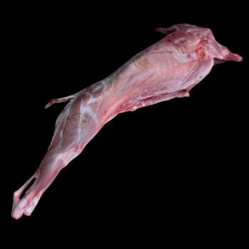 CABRITO ENTERO | 5.5 kg...
