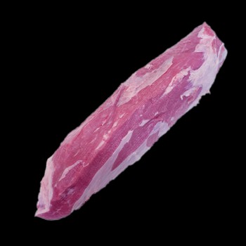 Filo Ternera lechal Pasto y Bellota.