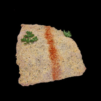 CACHOPO |Bandeja de 2...