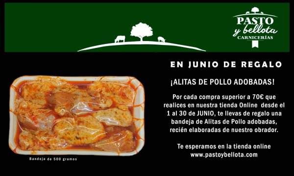 EN JUNIO PRUEBA NUESTRAS ALITAS DE POLLO ADOBADAS