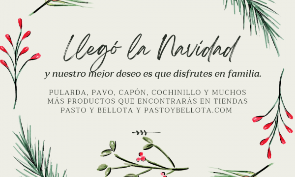 ¡LLEGÓ LA NAVIDAD!