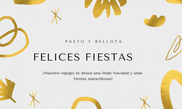 ¡FELICES FIESTAS!