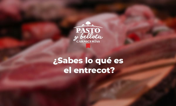 Consejo Express Pasto y Bellota Tegueste