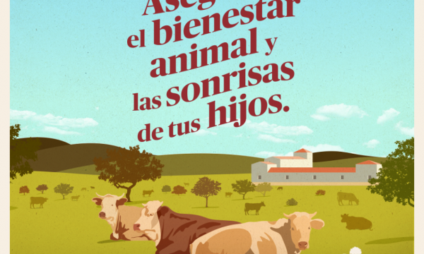 PASTO Y BELLOTA nuestro compromiso contigo… Asegurar el bienestar animal y las sonrisas de tus hijos.